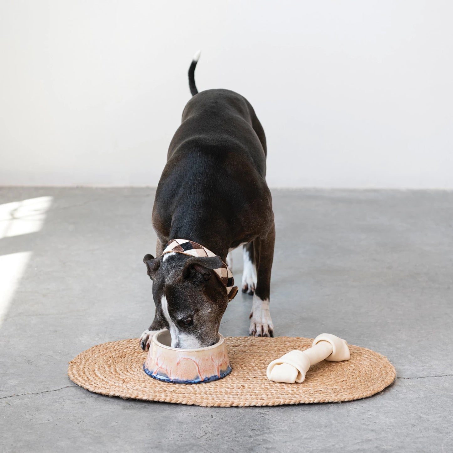 Stoneware Pet Bowl