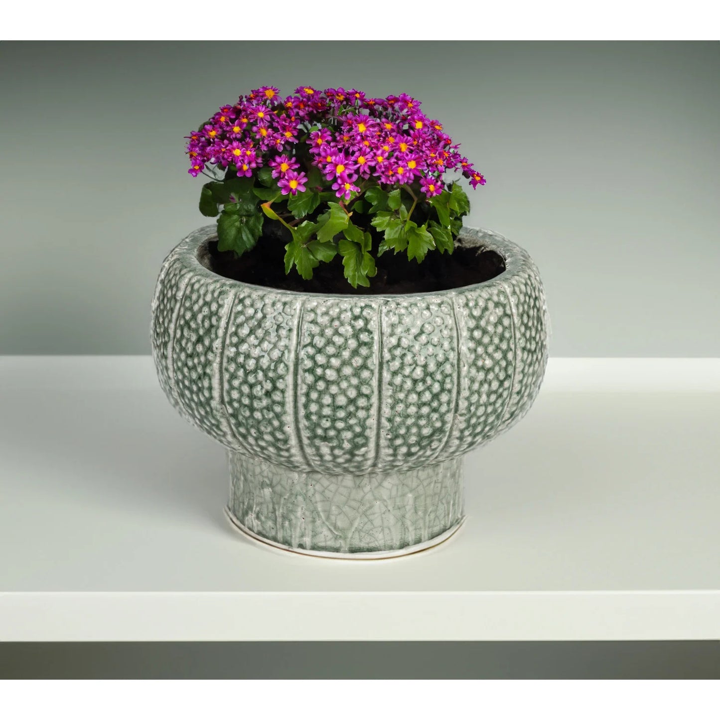 Terra-cotta Vase/Planter