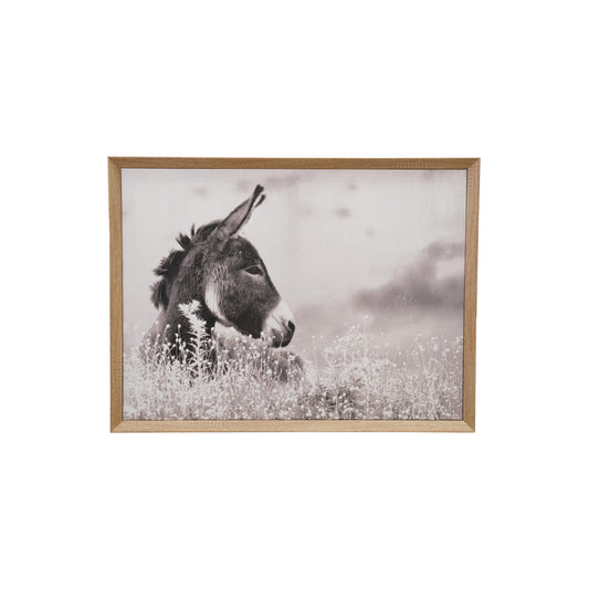 MDF Framed Canvas Wall Décor with Donkey Photography