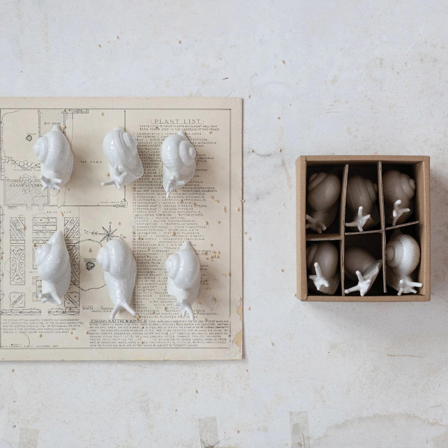 Stoneware Snails, Boxed Set of 6
