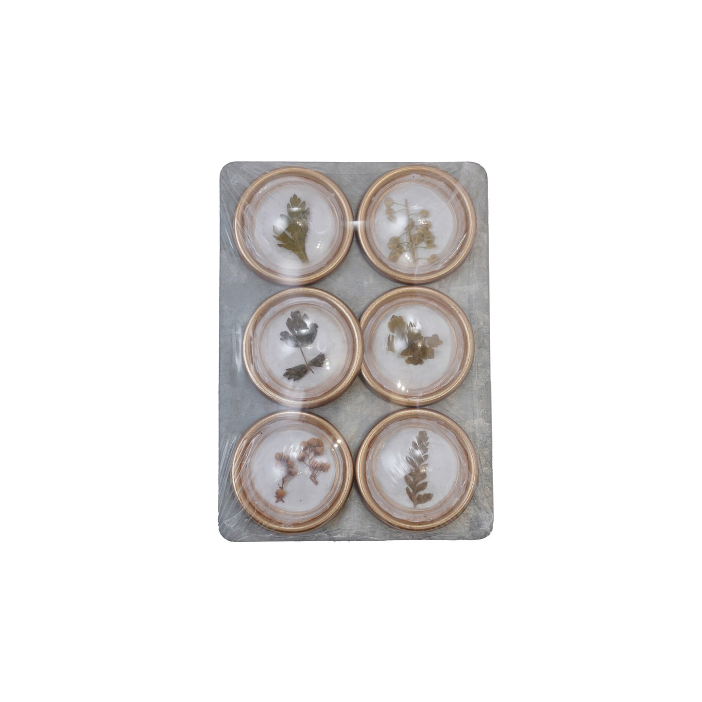 Resin Convex Magnets on Metal Card with Botanicals, Set of 6