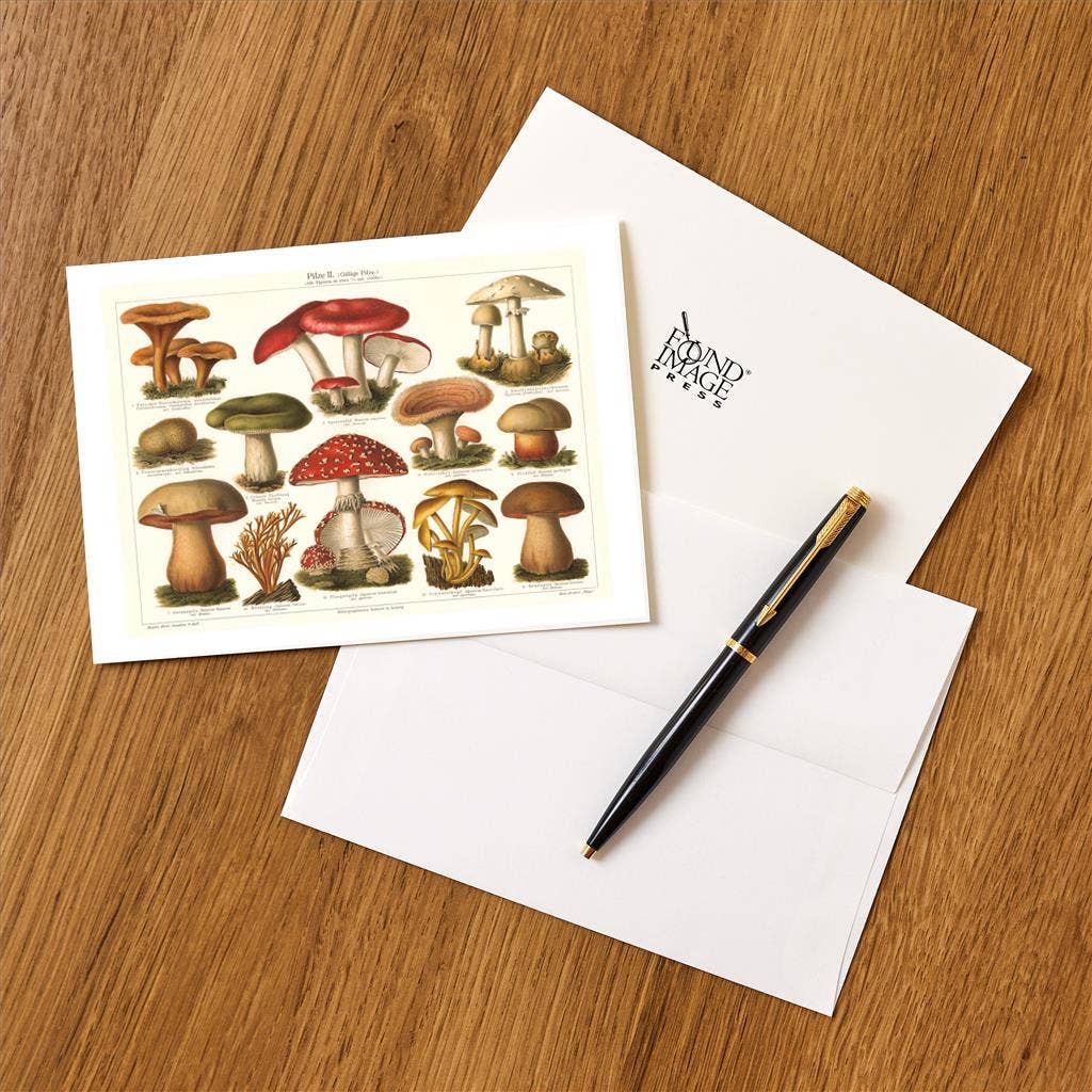 Greeting Card of Varieties of Mushroom