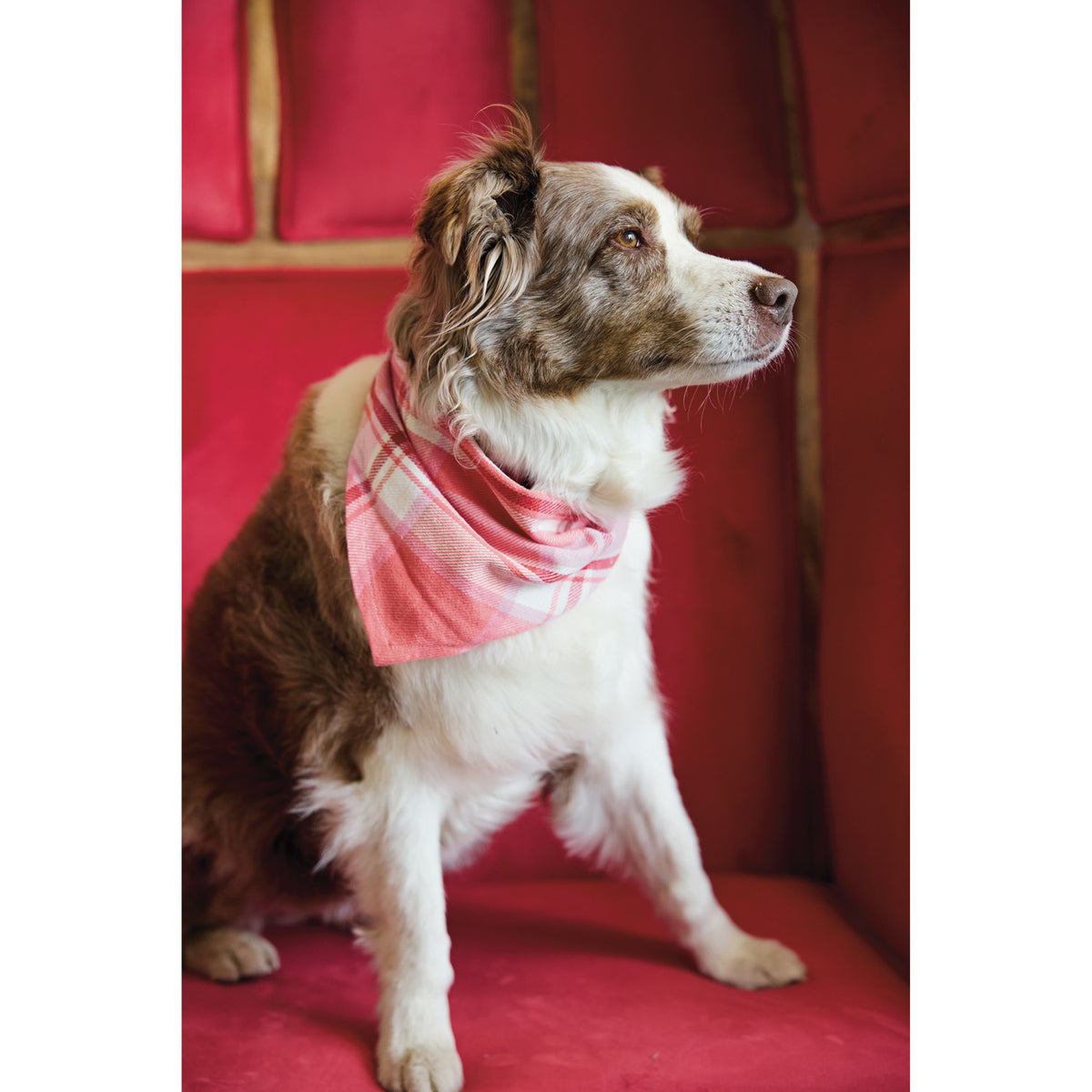 Cotton Flannel Dog Scarf